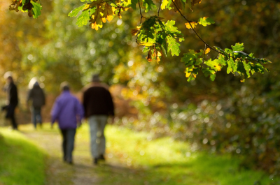 Why Be A Trustee?