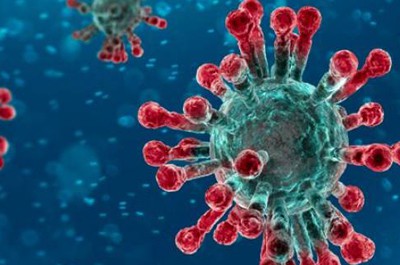 BCC Coronavirus Business Impact Tracker: Summer Statement schemes fall short in protecting firms and jobs