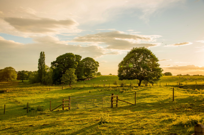 Lingen Davies Cancer Care renews funding for restorative sessions at England’s first Community-Owned Farm